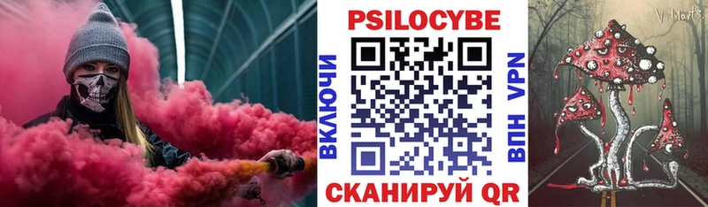 Псилоцибиновые грибы Psilocybine cubensis  Купить где  Холмск 